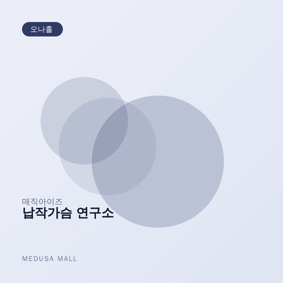 납작가슴 연구소 이미지